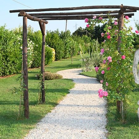 I Delfini - Natural B&B Cesenatico Exterior photo