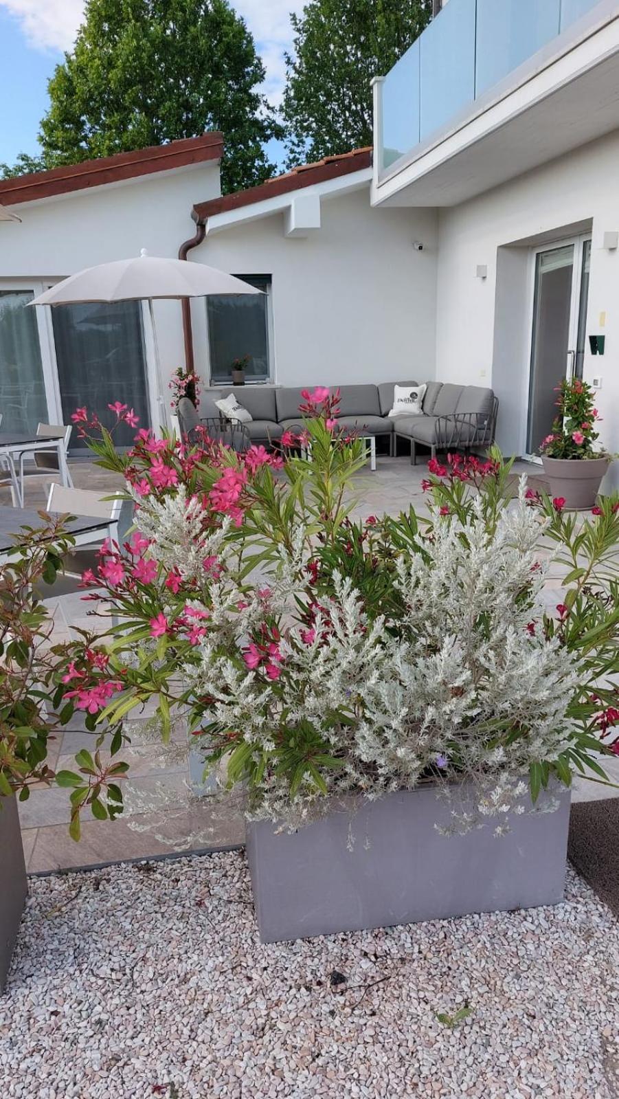 I Delfini - Natural B&B Cesenatico Exterior photo